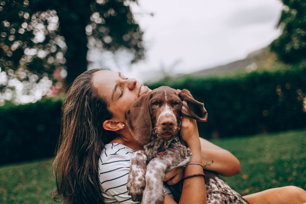 Play with your dog.